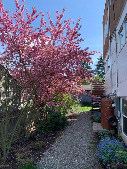 Leed Platinum Green Home Getaway Seattle Eksteriør bilde